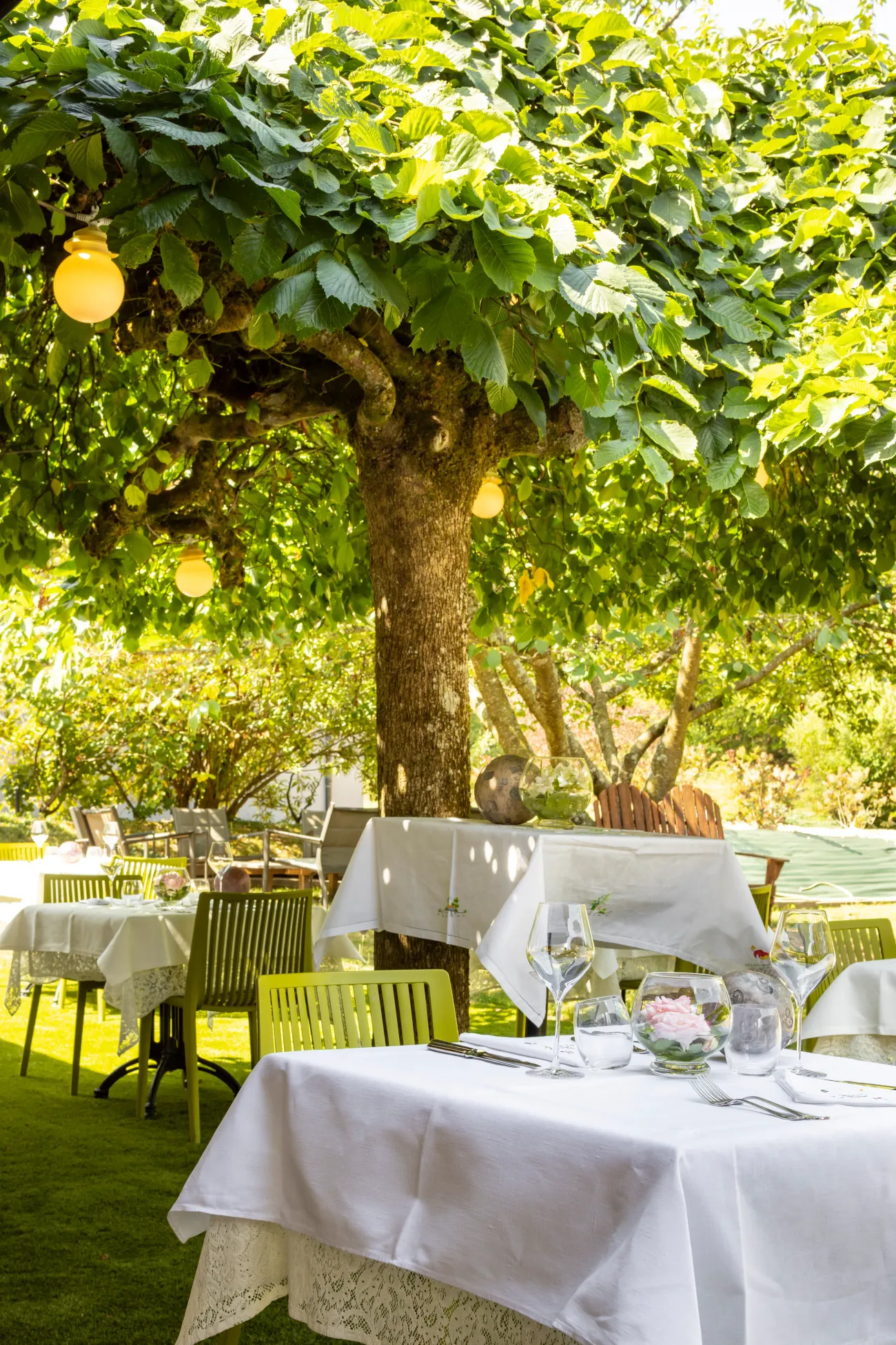 Une table dressée sous un arbre avec des feuilles vertes, entourée de chaises, dans un jardin avec d'autres tables similaires